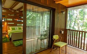 CasaDrago Sinaia , sauna si ciubar cu apa sarata